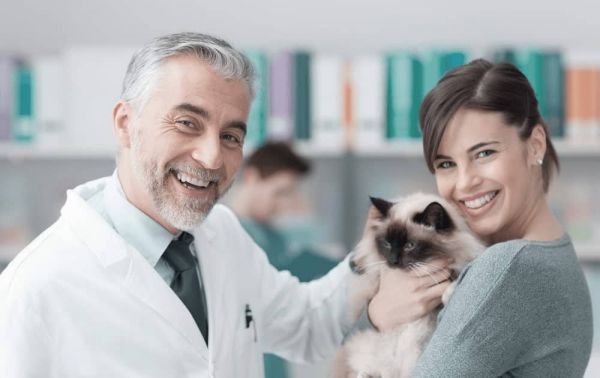 The best places to Obtain an Emotional Support Animal Doctor