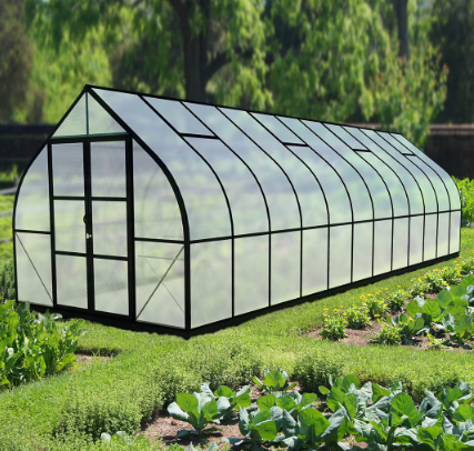 Exploring the World of Greenhouses